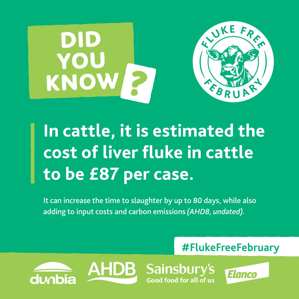 Did you know?..💭🐮🐑 Its the final week of our #FlukeFreeFebruary campaign in conjunction with @TheAHDB, @ElancoLivestock & @sainsburys. See below a fact about the importance of mitigating the risk of Liver Fluke on your farm.👇 #FarmGreen