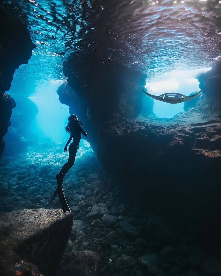 A.M.A.Z.I.N.G!
-
-
Tag someone who needs to see this💙

#underwaterpic #scubadivinglife #ilovediving #scubadivinggirls #diving_photography #wreckdiving #scubalove #cavediving