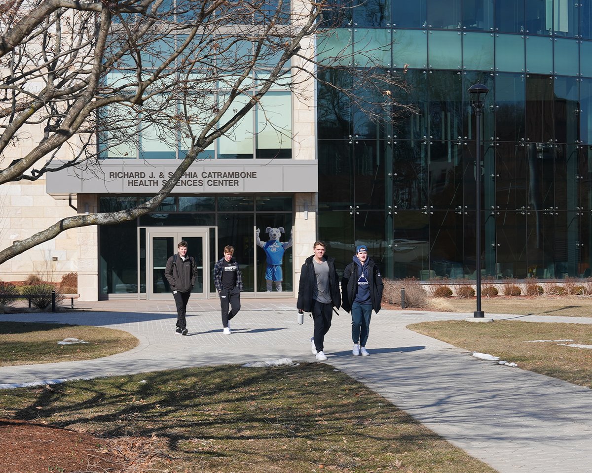 AssumptionUMA's tweet image. Another day on campus.. with a hint of school spirit 💙🐾

Can you spot Pierre in all of these photos?

#AssumptionUniversity #HoundNation
