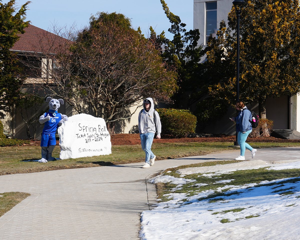 AssumptionUMA's tweet image. Another day on campus.. with a hint of school spirit 💙🐾

Can you spot Pierre in all of these photos?

#AssumptionUniversity #HoundNation