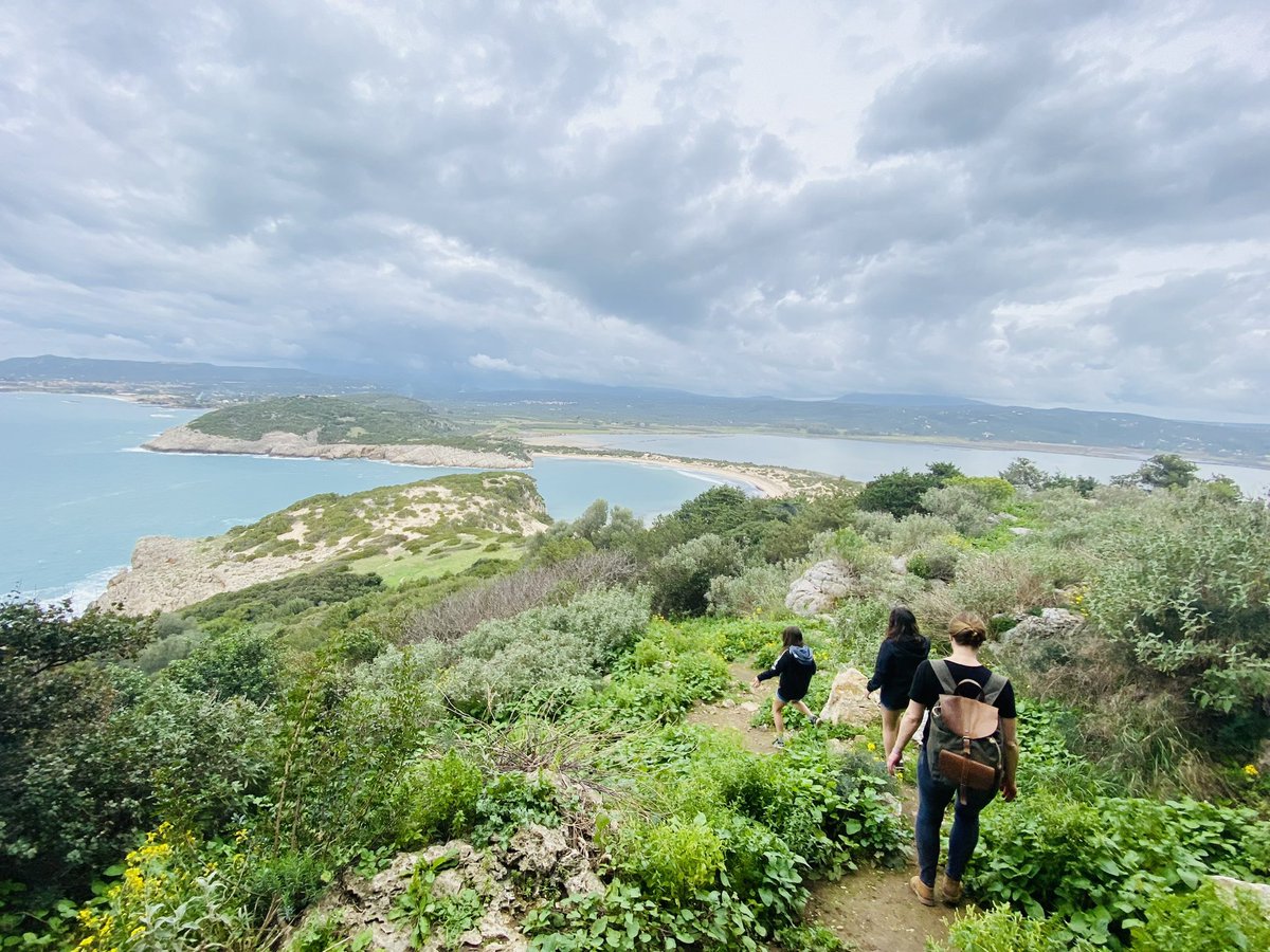 My university has a partnership with the Navarino Environmental Observatory in Greece (Peloponnese). I’m taking bark samples from ancient olive trees and some prickly native oaks to see if we find any yeast in them. The best thing, I get to take the family!