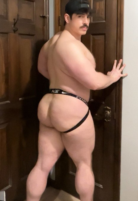 husky_beef