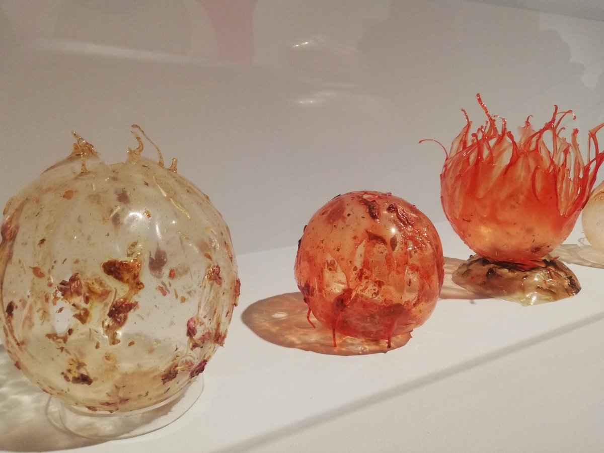 Ecopop YM tweet media