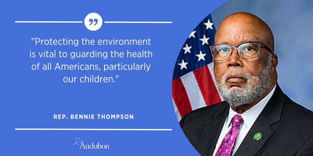 audubonsociety's tweet photo. One of the leaders that we're spotlighting this #BlackHistoryMonth is @BennieGThompson, who has worked to conserve Mississippi's wetlands and the wildlife and communities that depend on them from destructive development https://t.co/HspNfxZaFR