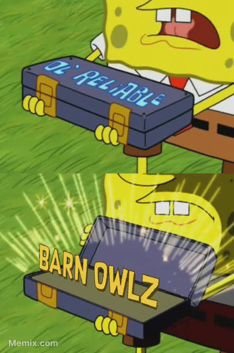 GM Owlz 🦉