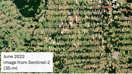 GEO BON (@geobon_org) on Twitter photo 🛰️🧬Genes from space! The international team from <a href="/ISSIBern/">International Space Science Institute (ISSI)</a> is working to demonstrate that the genetic diversity of species populations can be monitored using Earth observations #EO and support the monitoring framework of the #KMGBF 🌍🌱 🛰️🧬Genes from space! The international team from <a href="/ISSIBern/">International Space Science Institute (ISSI)</a> is working to demonstrate that the genetic diversity of species populations can be monitored using Earth observations #EO and support the monitoring framework of the #KMGBF 🌍🌱