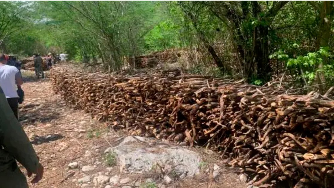 Tráfico de guaconejo por la zona fronteriza remueven el malestar en la población dlvr.it/T3N8Lz