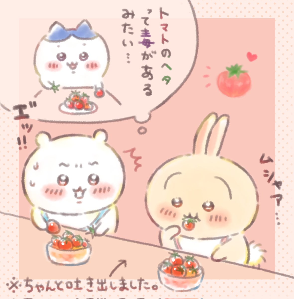 usa_gi_pan's tweet photo. この間、ボーッとしながらプチトマト食べてたら、ヘタまで食べてしまいました…🍅
当たり前のようにヘタ取ってたけど、ヘタに毒があるなんて知らなかった😂でも何事もなく無事でした😂ﾖｶｯﾀ https://t.co/a5W1s7gDu9