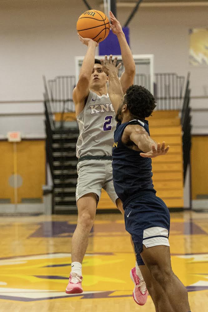 The Portal Report tweet media