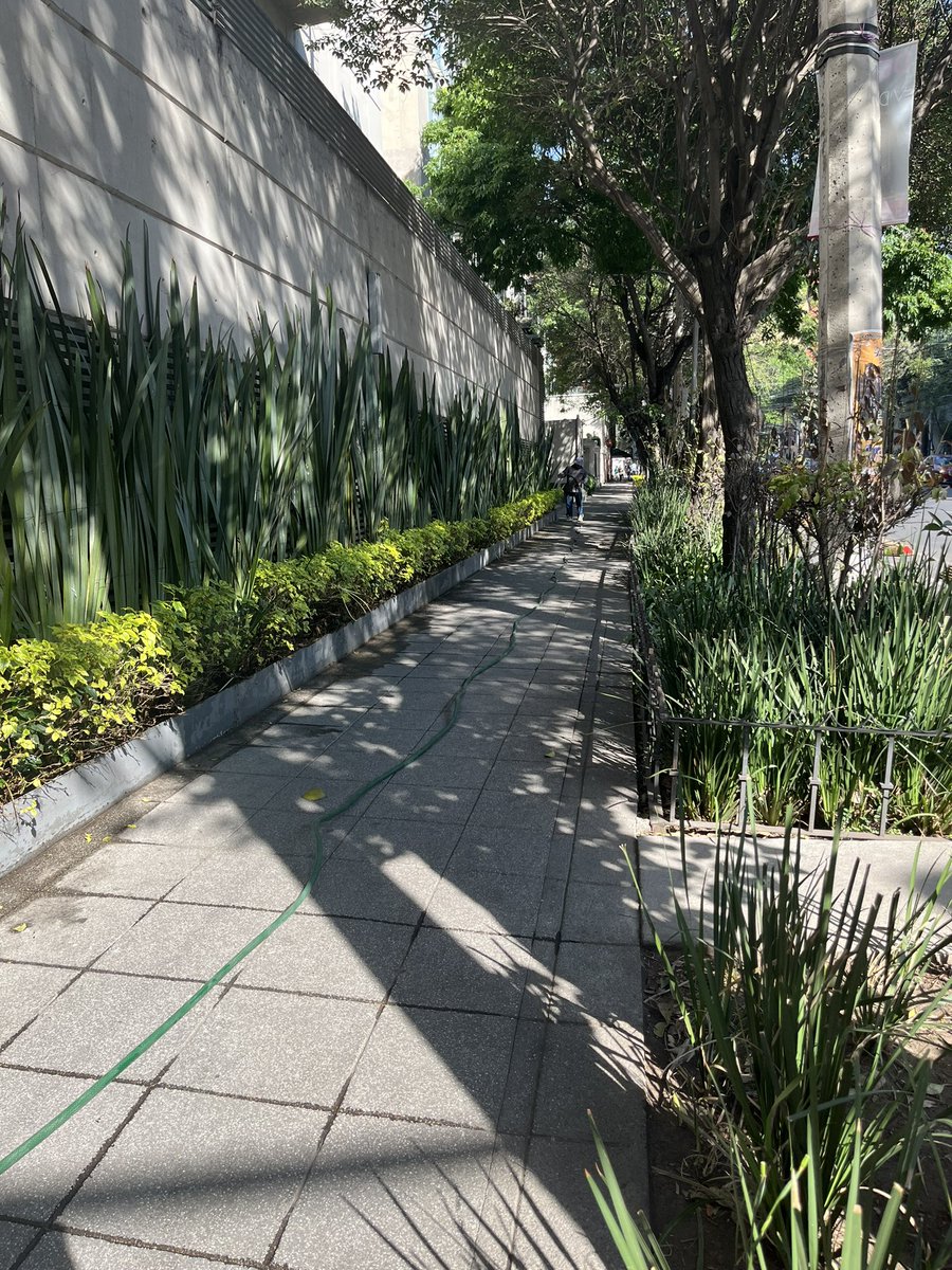 SoOLpCi's tweet photo. @GobCDMX @conagua_mx @martibatres todos los días riegan las jardineras 🫠 https://t.co/w22NqEQt62