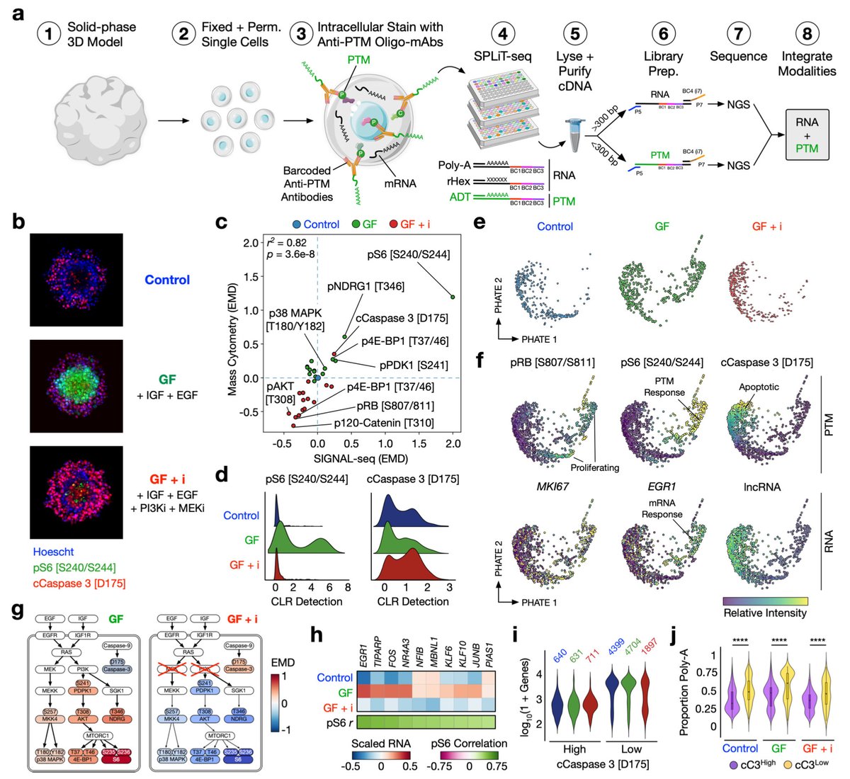 antisense. tweet media