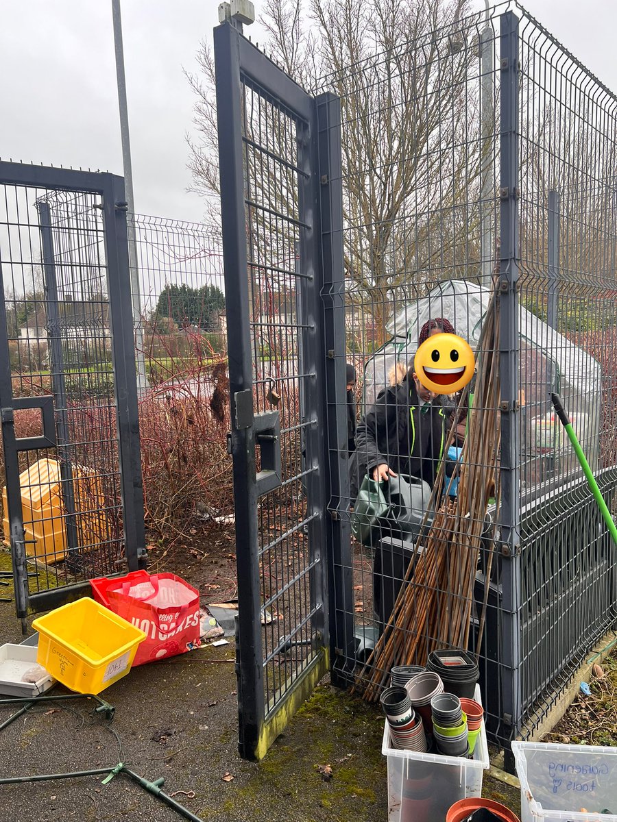 Busy busy busy bees getting everything ready before the march frost ready for spring planting!