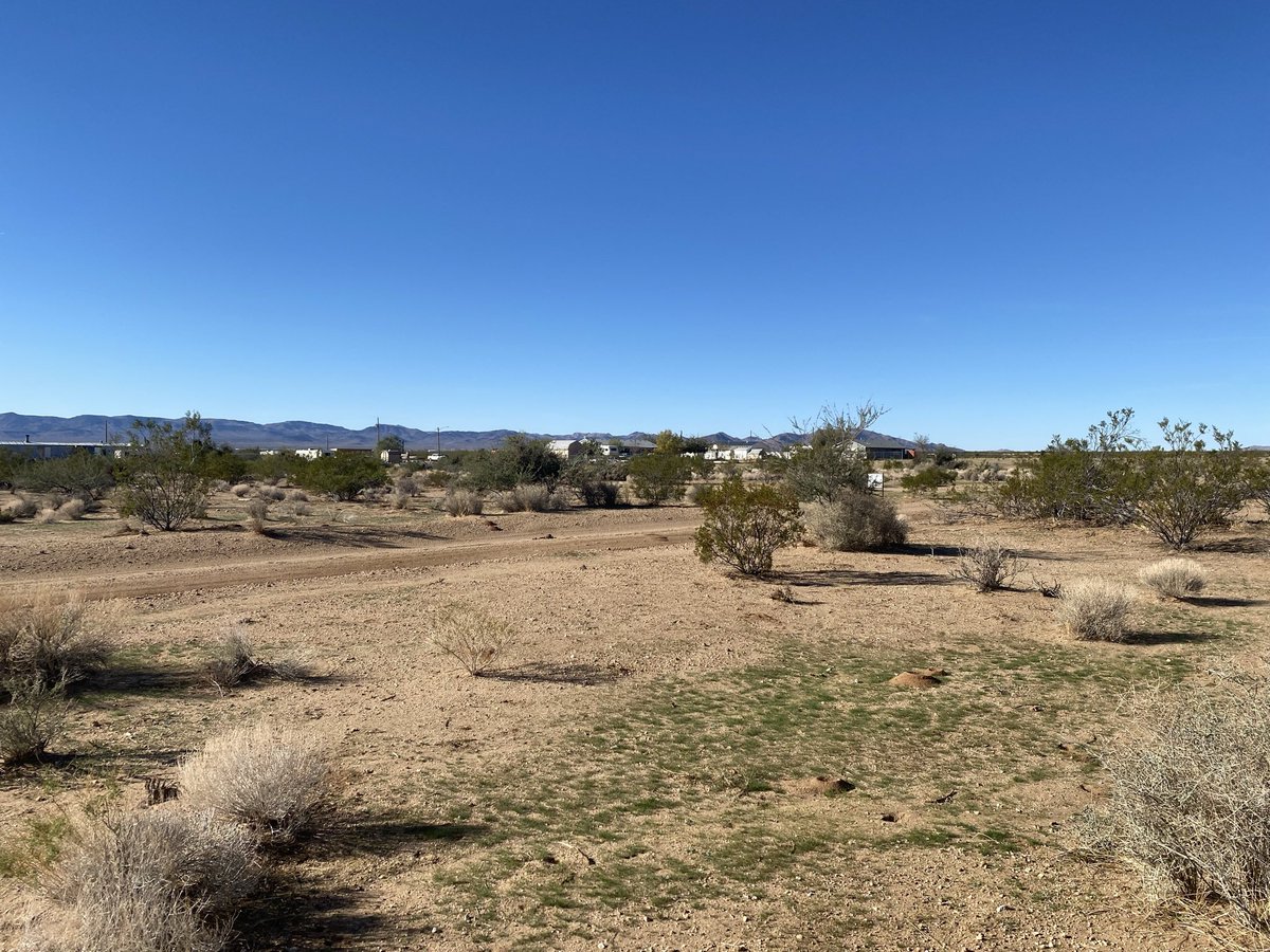 landmonkeycom's tweet image. This week's new property listings are all about SIZE. Come enjoy the quiet beauty of Golden Valley, AZ with a large, rural 1.17-acre parcel. Or come take a look at a huge corner lot in Salton City, CA - one of our largest parcels in the area to date. Check it out:…