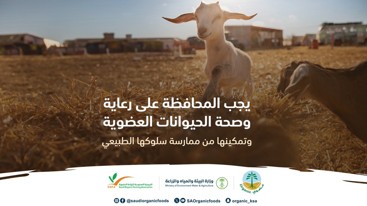 يجب على المزارع العضوي أن يقدم الأعلاف المتوازنة التي تُلبي الاحتياجات الغذائية للحيوان بما يتناسب مع نوع الحيوان والغرض الإنتاجي منه.
#نساند_عزيمتك_وندعم_انطلاقتك