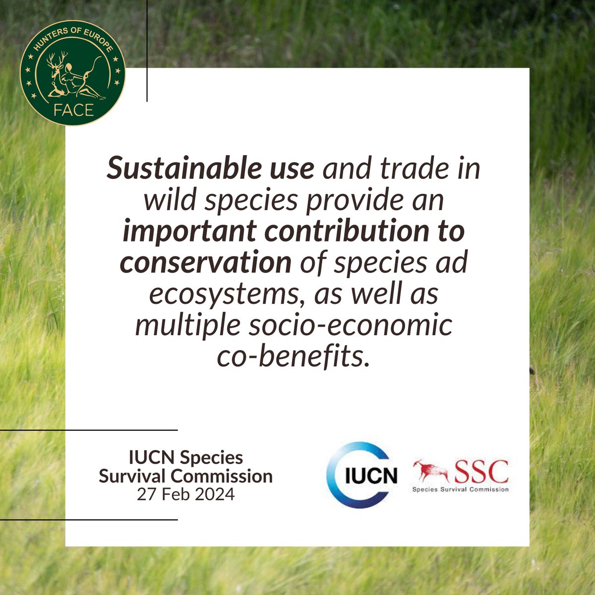 🌳🦌 Yesterday, the @IUCN Species Survival Commission's Webinar on the #GlobalBiodiversity Framework highlighted the key role of #SustainableUse in conserving species, ecosystems, and bringing socio-economic benefits. 🌍✨ FACE is on board with this vision!

👀 Take a look at