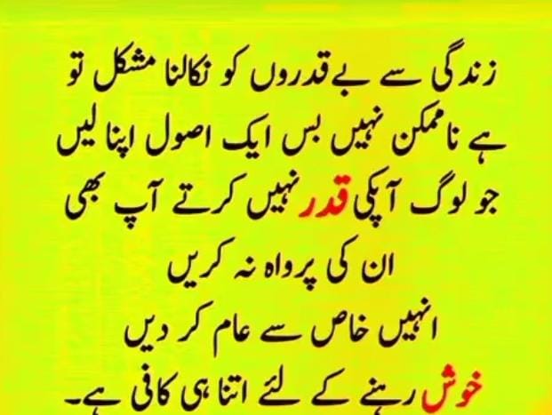 اعجاز حسین گبول ( y m t) rajan pur tweet media