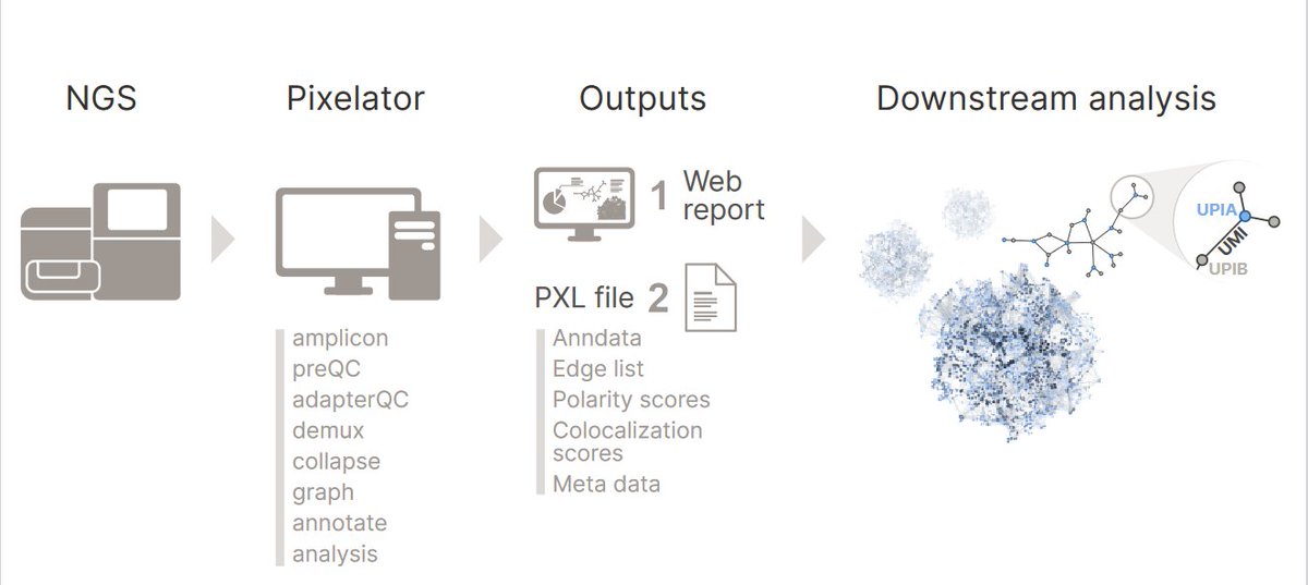 PixelgenTech's tweet photo. Pixelator, a free open-source software, is used to process raw NGS sequencing reads generated by the Molecular Pixelation (MPX) workflow to produce a web report and pxl files.
#Pixelator #opensourcesoftware #bioinformatics #nfcore #molecularpixelation #surfaceproteome #cells https://t.co/tKIdHFk3hR