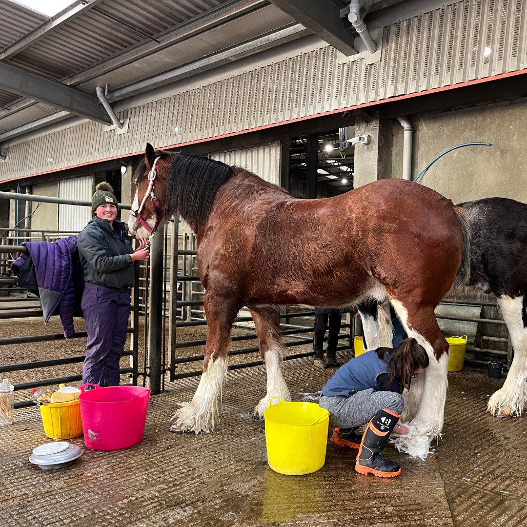 undocarbon's tweet image. Today at @The_RNAS #SpringShow2024 🌱, UNDO is proud to be at the SARS stand, Thainstone Agricultural Centre, showcasing enhanced rock weathering (ERW) for #SustainableAgriculture. Dive into how ERW boosts soil health &amp;amp; carbon capture 🚜💼 #UNDOCarbon