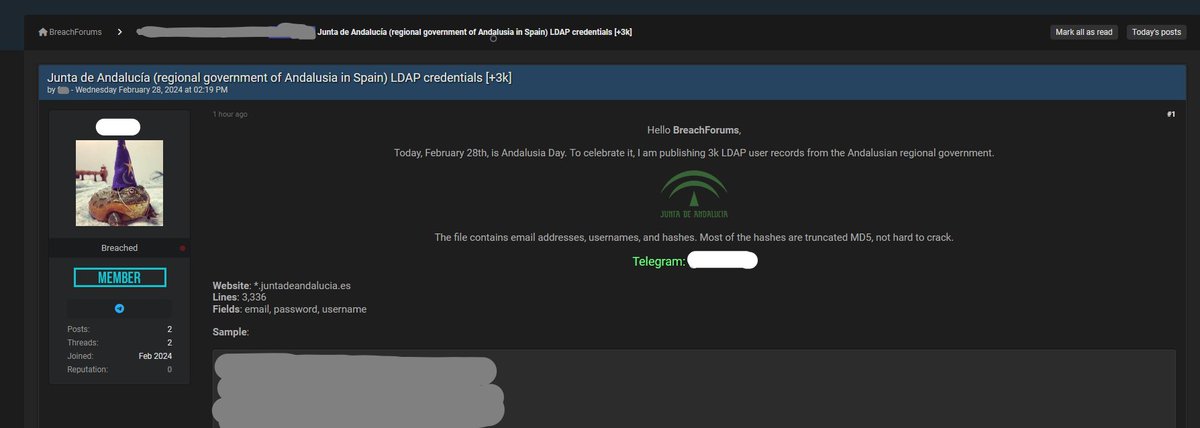elhackernet tweet picture