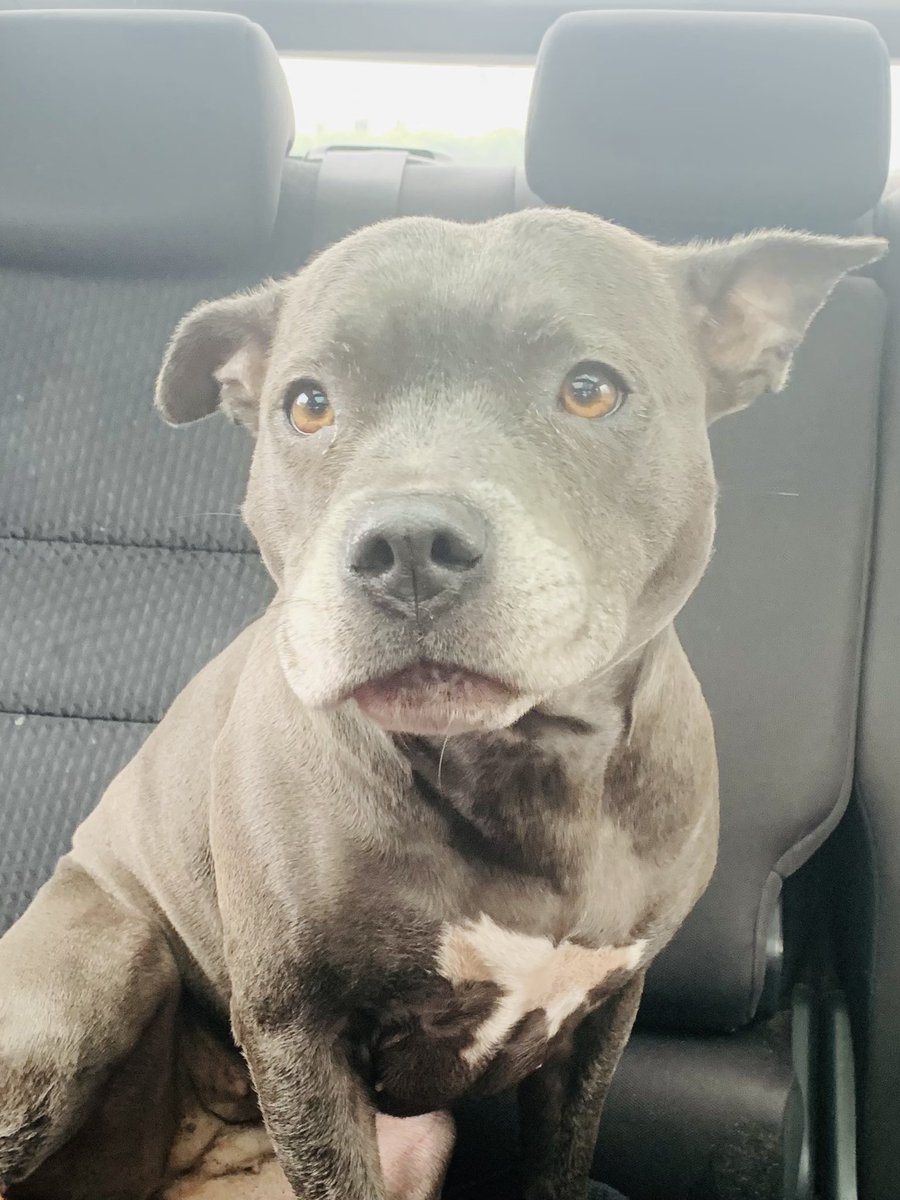 Isa Mary tweet media