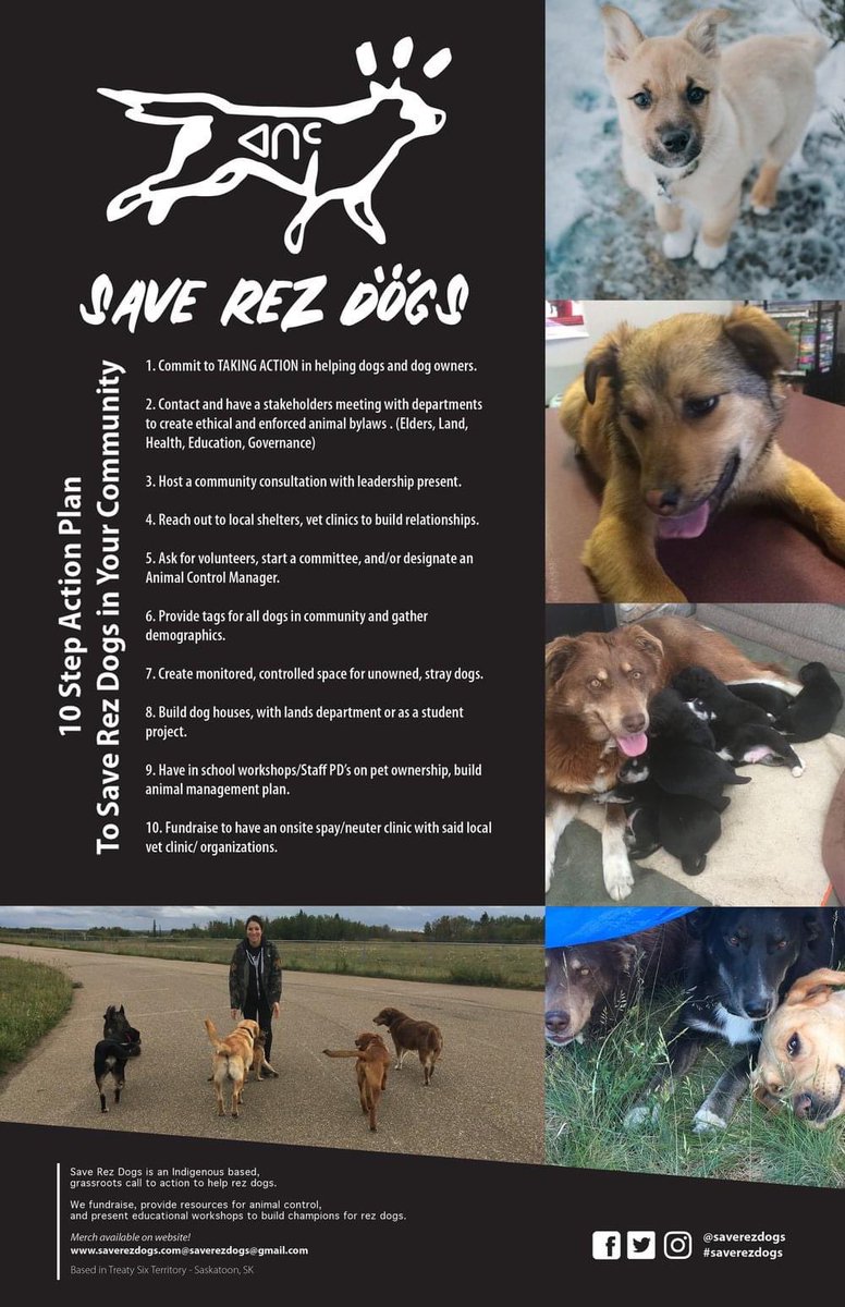 saverezdogs tweet media