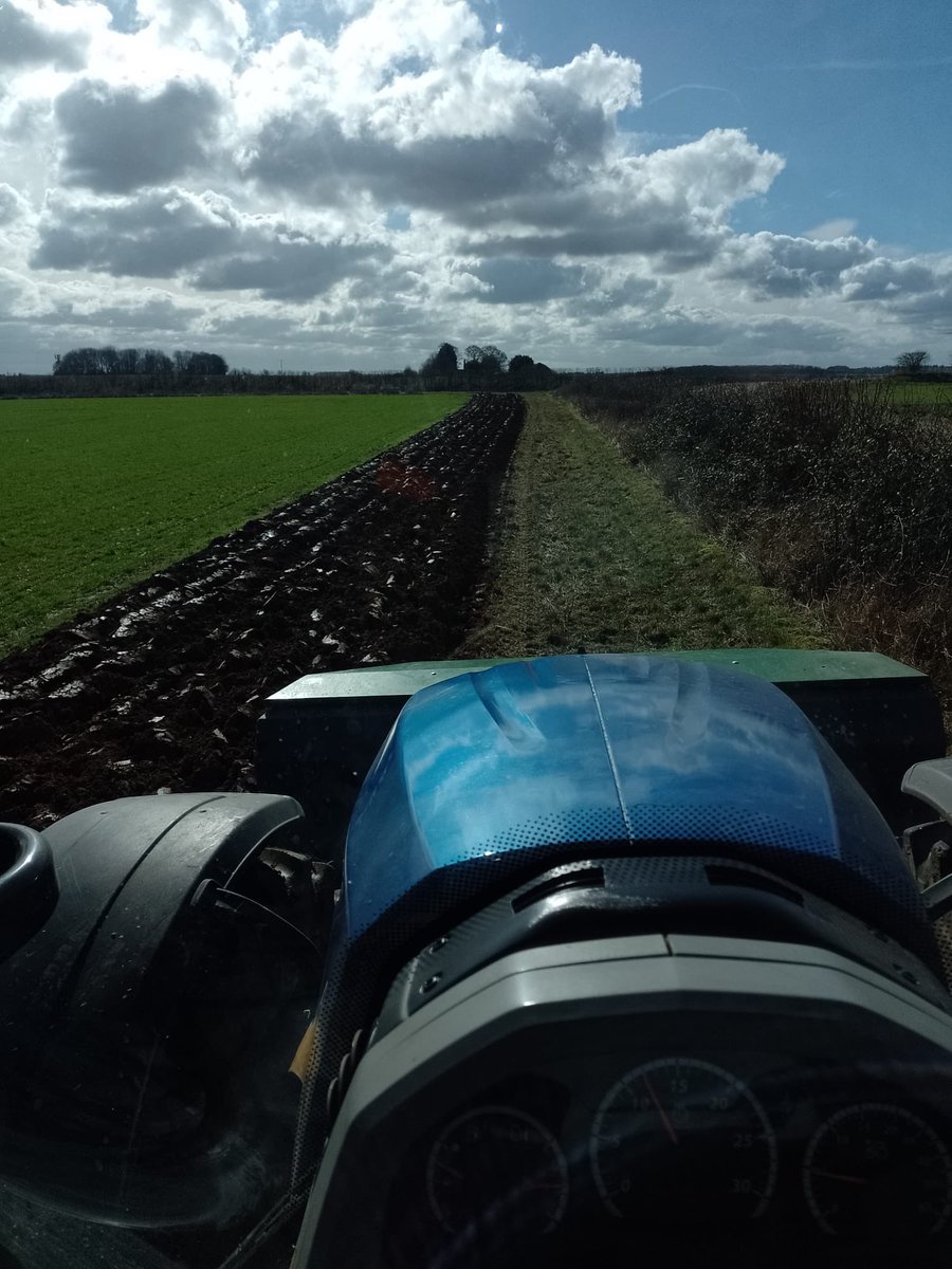 We have just begun work cultivating our AB11 margins at Barton Bendish with the aim of promoting the germination of rare arable “weeds” we are hoping to see a sea of bird’s foot trefoil, rough poppy and corn buttercup over the spring and summer months 🌻🌷🌸🚜