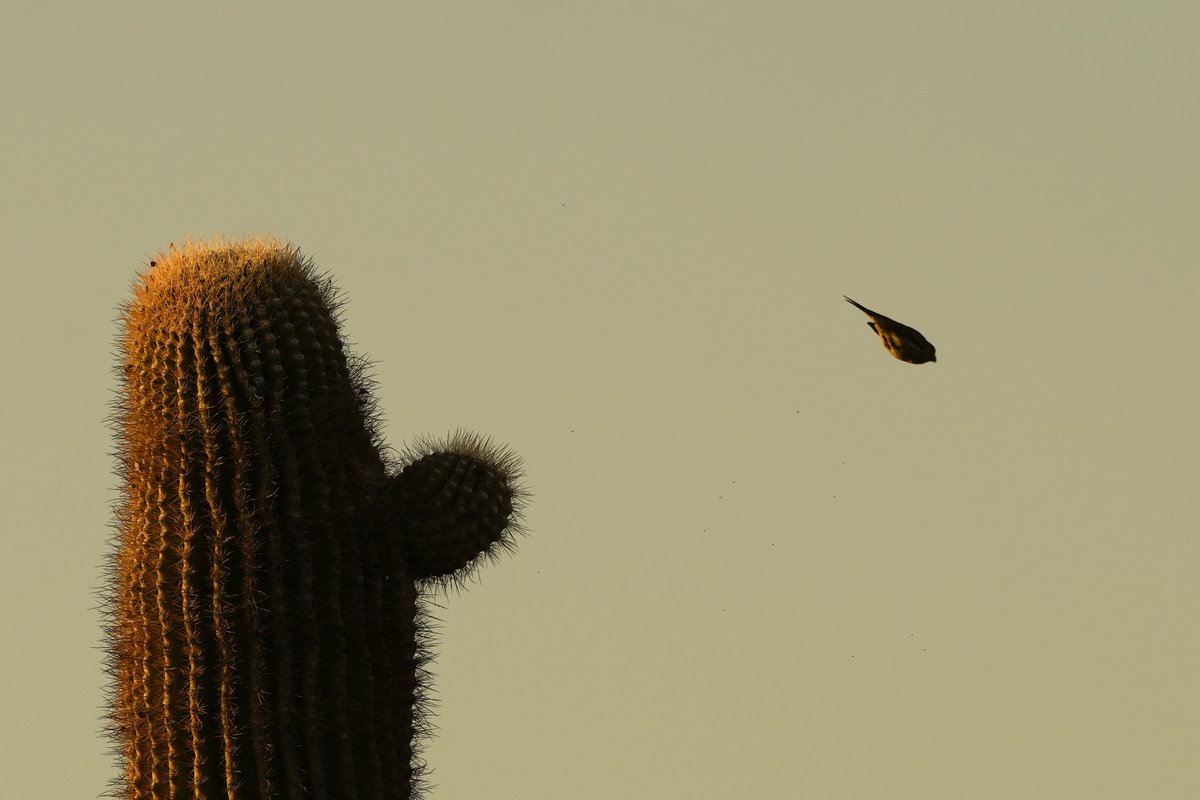 Lindsey Wasson 📸 tweet media