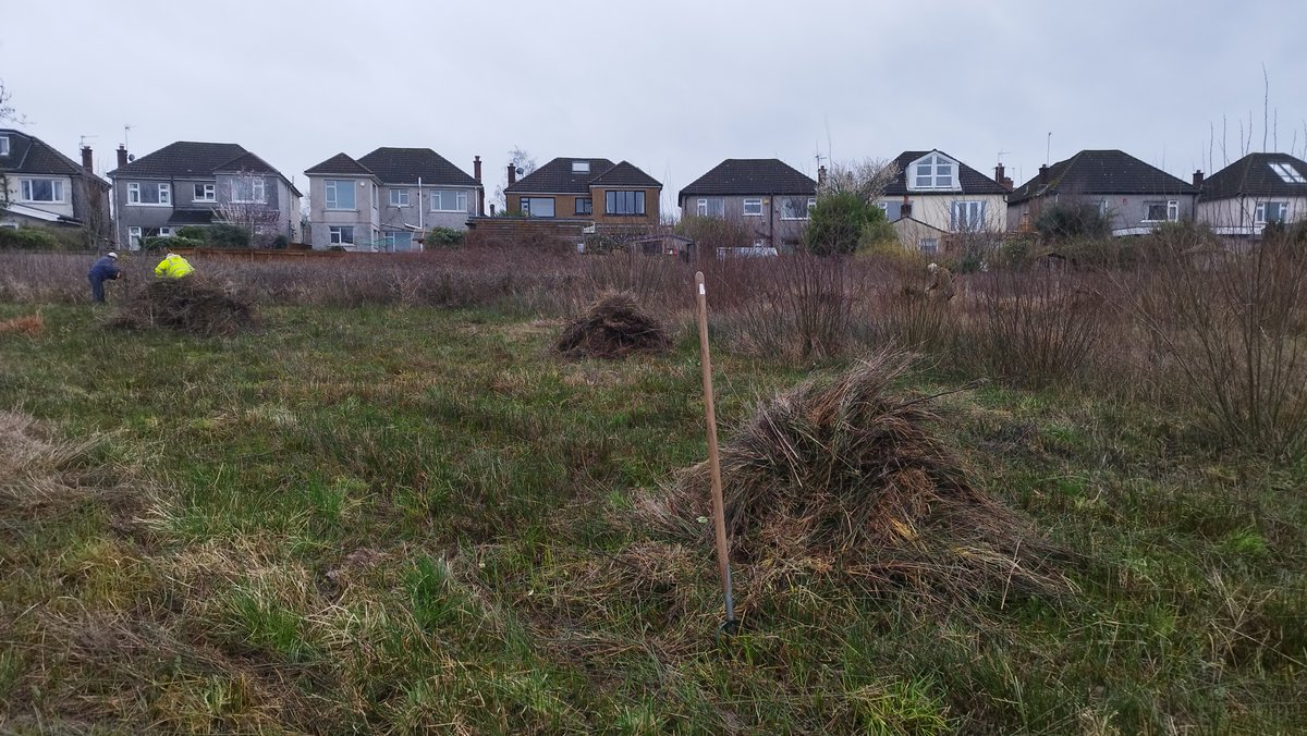 We had a wet but successful workday this Sunday. The boggy meadow was raked, the willow overgrows removed and fences repaired. We even managed to start weaving the willow fence around the pond.