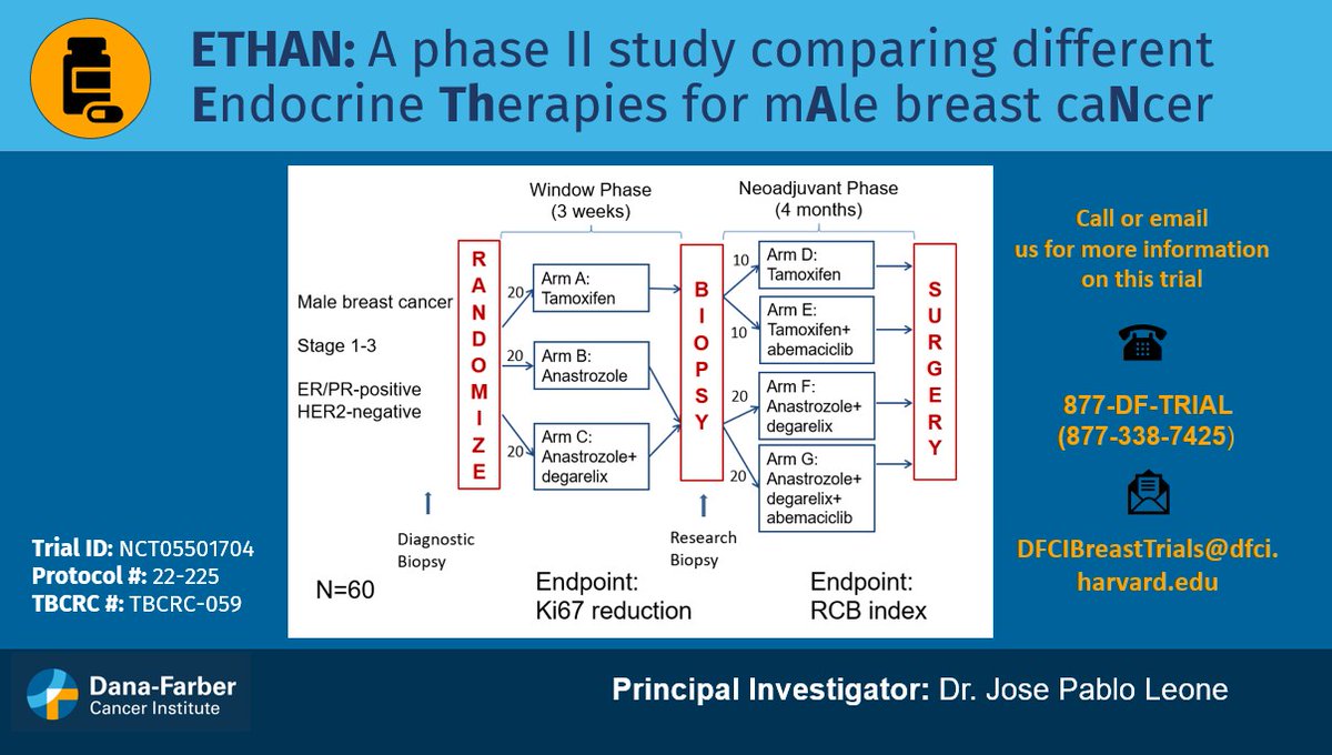 @DFCI_BreastOnc and @TheTBCRC are leading the #ETHANstudy, which evaluates endocrine therapies to identify the best treatment for men with ER+/HER2- breast cancer prior to surgery #MaleBreastCancer. For more information call 877-338-7425 or visit: dana-farber.org/clinical-trial…