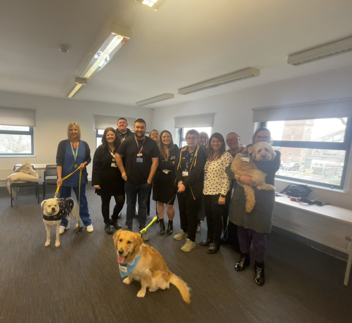 We have three new members of staff at @edgehill Aintree Campus as part of #FeelGoodFebruary @RichieJW86 can we keep them? 🐶🐶🐶 #FeelGoodFeb #TherapyDog #EHU @EHU_FHSCM #Paddy #Ralphie #Clover