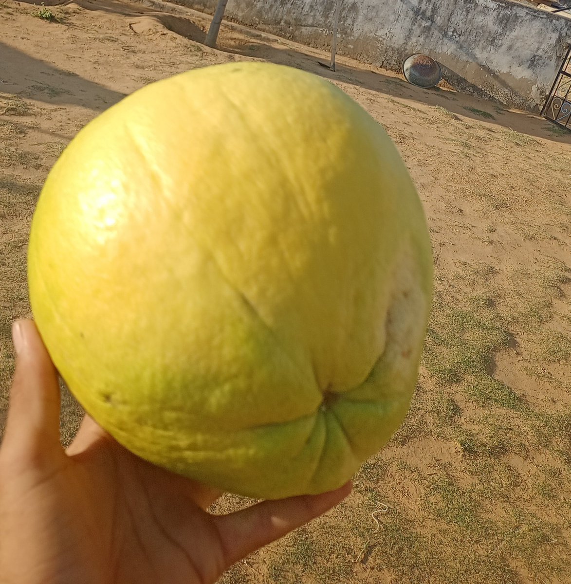 jaatsurveer's tweet photo. बताओ क्या है ।। https://t.co/mLMSsuB2bf