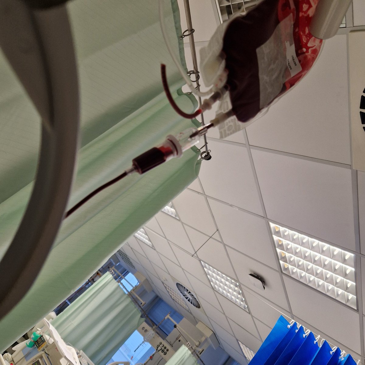 elli_mili's tweet photo. Dnes jsem byla jak Čachtická paní.
Třeba mi tu krev dal někdo z vás a teď budeme navždy spojeni 😉
Všichni, kdo dáváte krev, jste prostě jedničky 🫶
Díky moc!
#podkudlu https://t.co/YF04BxRcDu