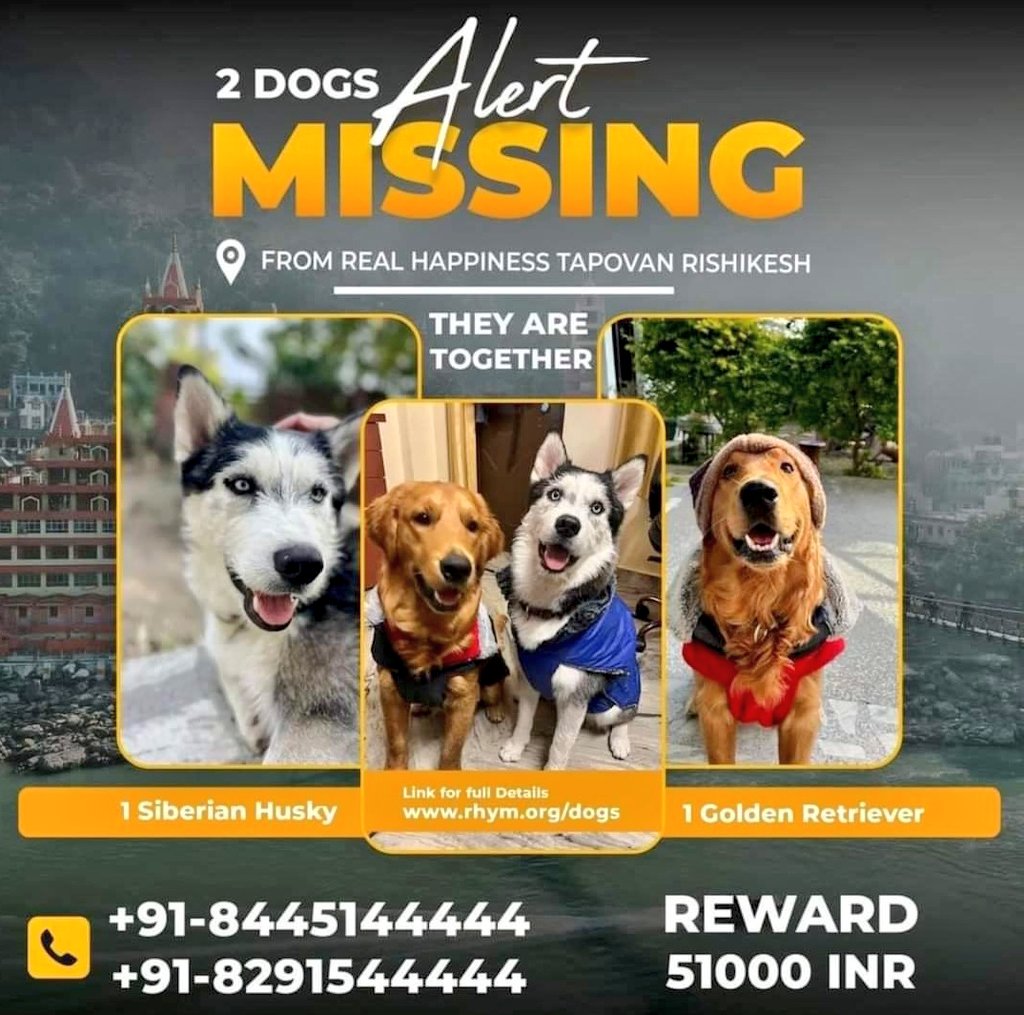 These two beloved pet dogs are missing from Tapovan in Rishikesh. Their owners are desperately searching for them. Please help by sharing this post to spread the word and reunite them with their family. Every share counts!  #MissingDogs #Rishikesh