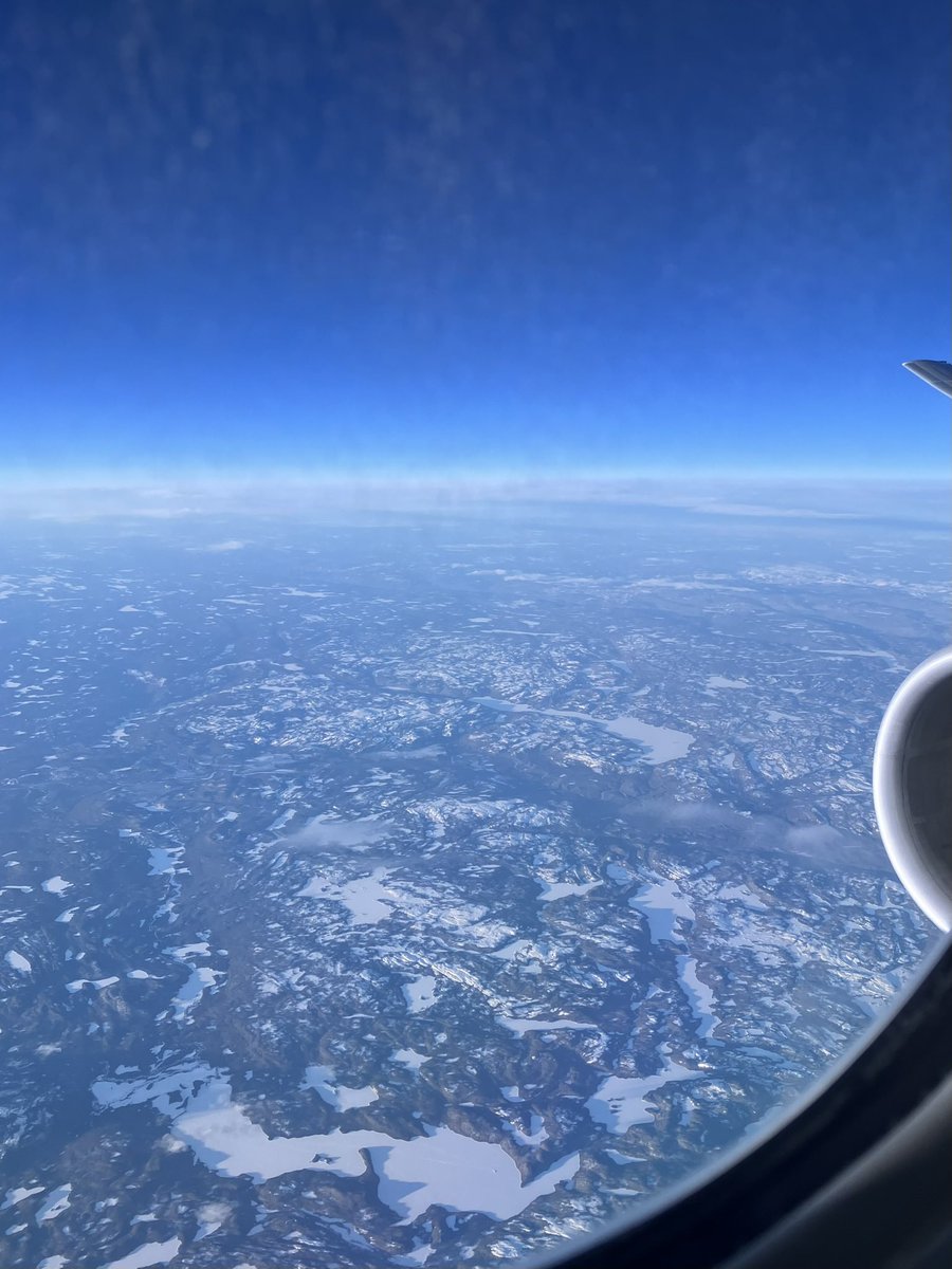 𝗗𝗮𝗻 𝗦𝘁𝗲𝗲𝗹 tweet media