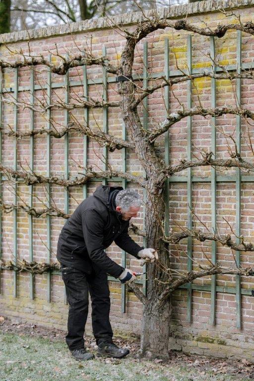 Landgoed Middachten is weer op tv! Het KRO/NCRV-programma BINNENSTEBUITEN geeft donderdagavond om 19.05 uur op NPO2 een exclusief kijkje onze eeuwenoude tuinen. Kijken jullie ook?

@liesbethdisbergen @binnenstebuitentv