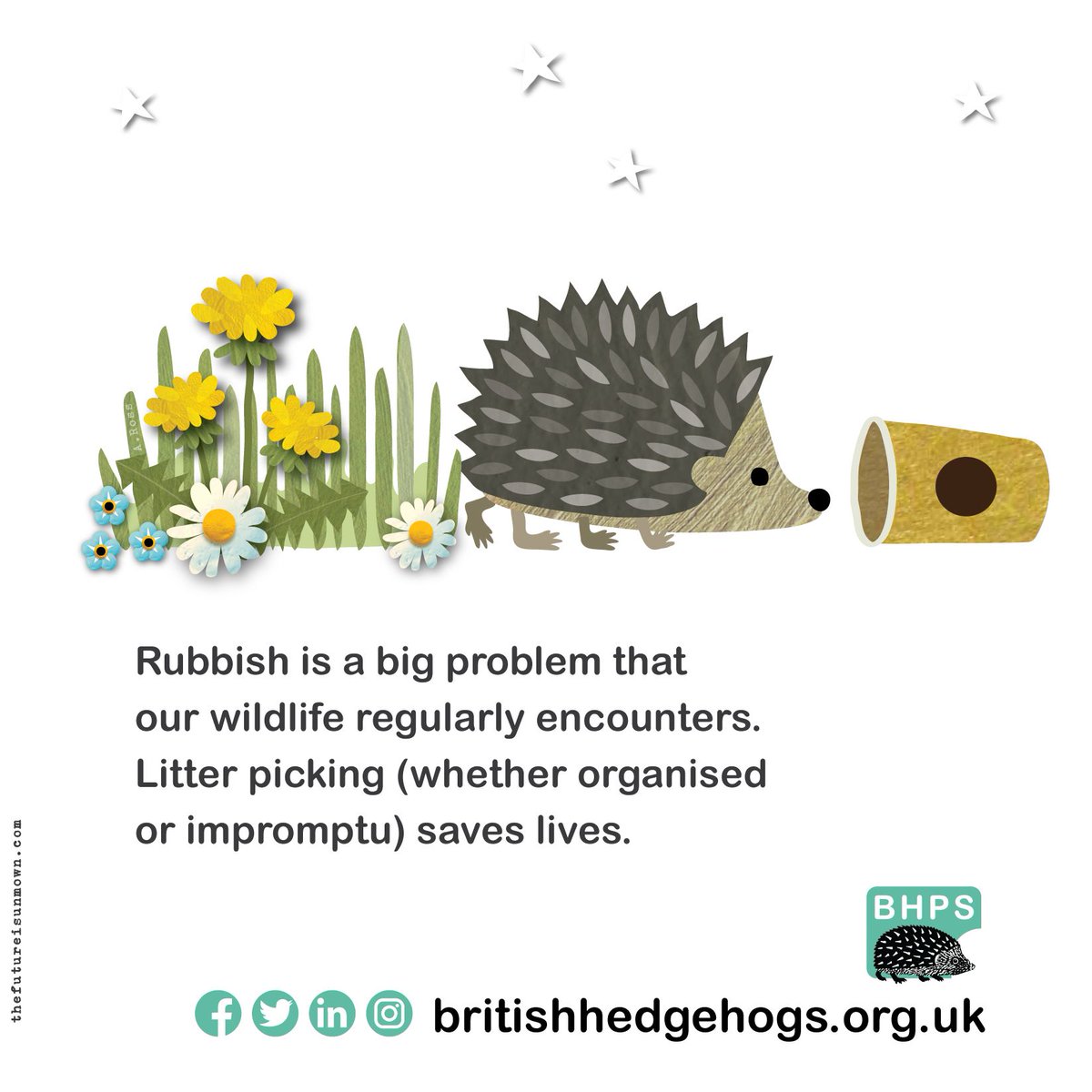 hedgehogsociety's tweet image. Litter and single-use plastics are a big problem - especially for #hedgehogs and other #wildlife, but we can all do our bit to help fix it. 
🚮 

This #WildlifeWednesday, please share to make aware 👍 

#ChooseToRefuse #Recycle