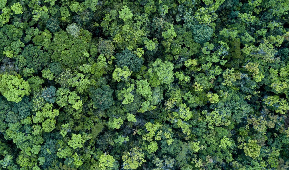 In the final part of our 3 part series, we look at the way the Taskforce on Nature-related Financial Disclosure interacts with other global frameworks and standards. 

buff.ly/3SkOUa9 

#sustainabilityreporting #sustainability #tnfd #corporatereporting #jonesandpalmer