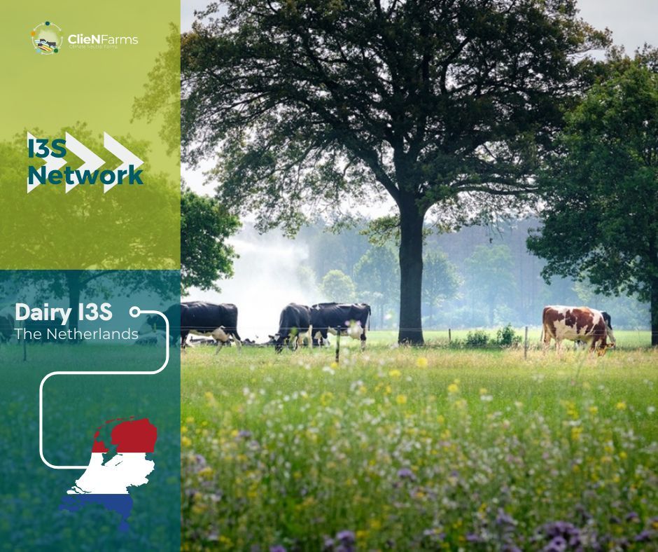 Discover this innovative #dairy I3S located in The Netherlands and managed by #WR 👉 buff.ly/46scvKl