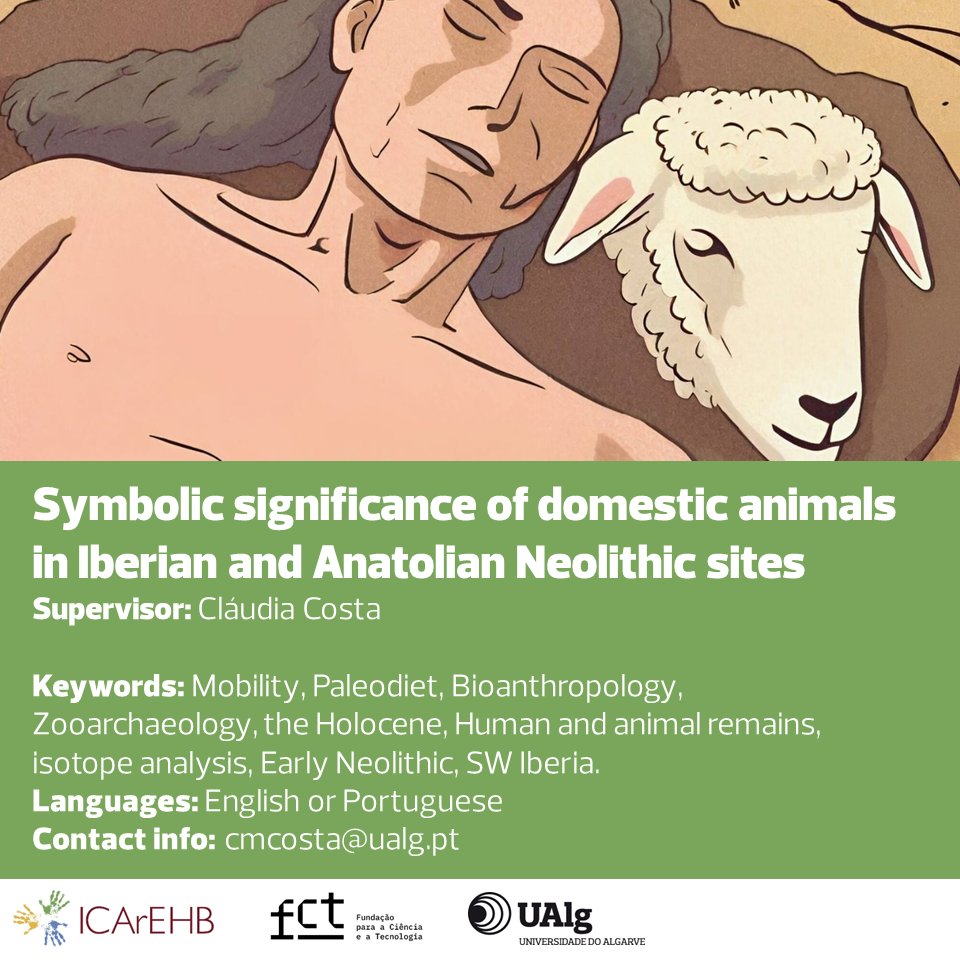 Cláudia Costa available to supervise 'Symbolic significance of domestic animals in Iberian and Anatolian Neolithic sites' in 2024 FCT PhD Fellowships program. Ricardo Godinho and Benjamin Irvine to co-supervise. More info bit.ly/42Gi1bI #FCTPhDFellowships #ICArEHB