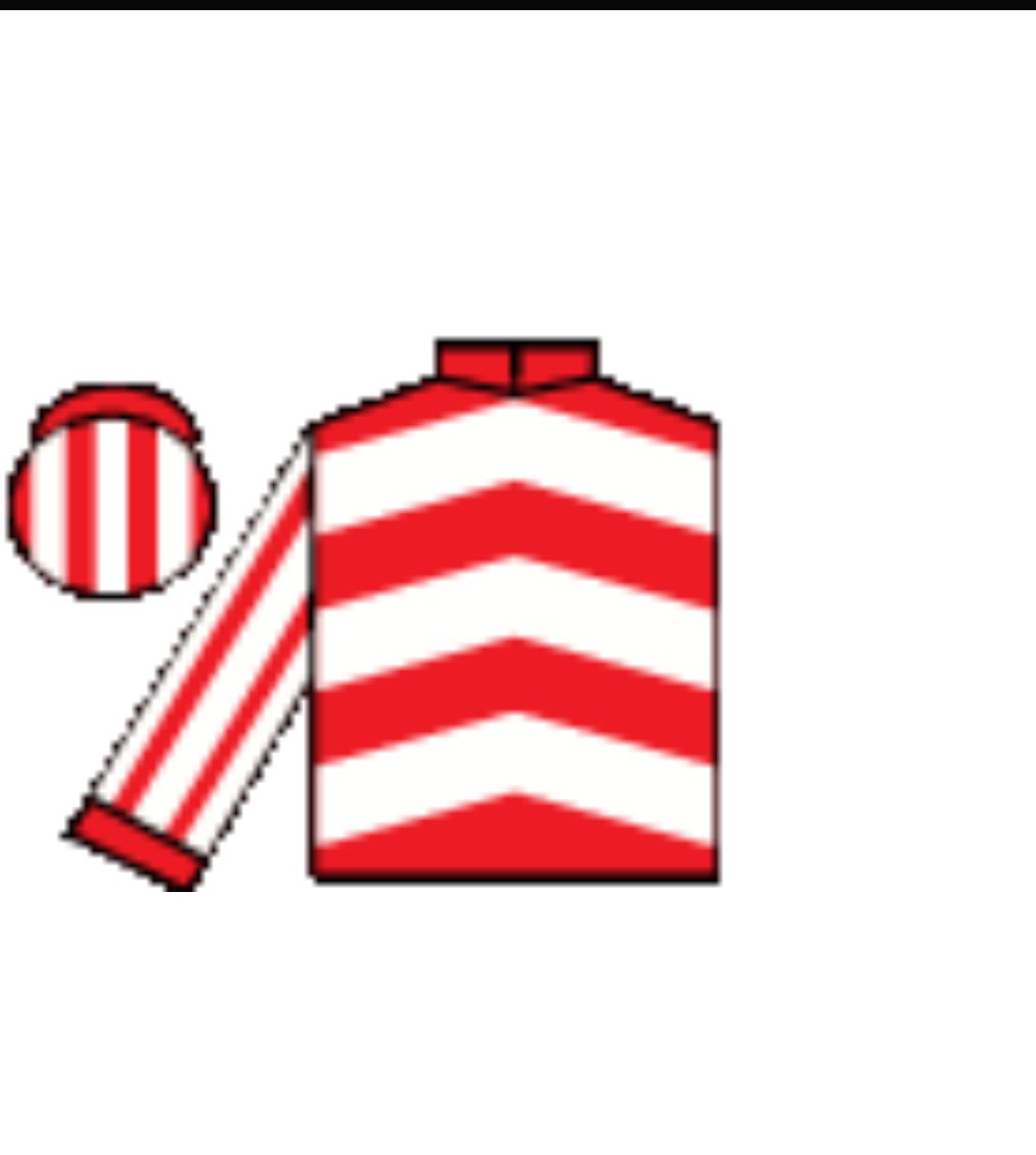 MchughCathal's tweet image. Delighted to have bought Real Empire who will remain in training with @jhanlonracing for the Globalbirdinthehand Syndicate. 

3rd and 2nd in his two bumper efforts to date. 

He has a champion bumper entry in @CheltenhamRaces 👀

@nialljudge1 @PaddyHanlon5