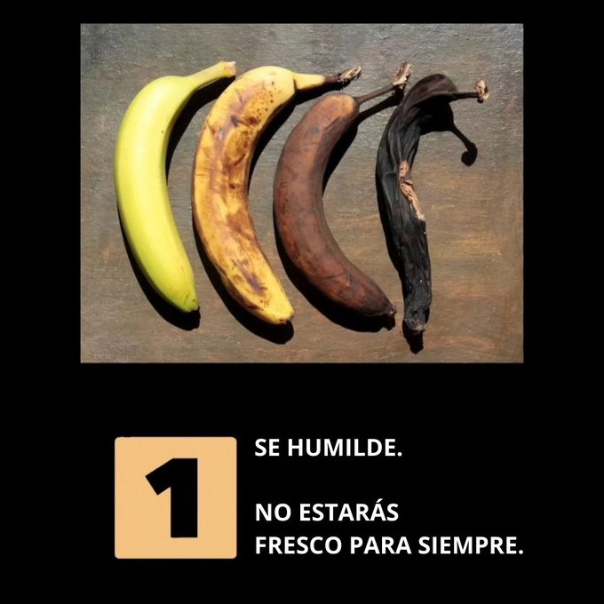 8 FOTOS QUE NO PUEDEN PERDERTE EN TU VIDA  🧶

1.