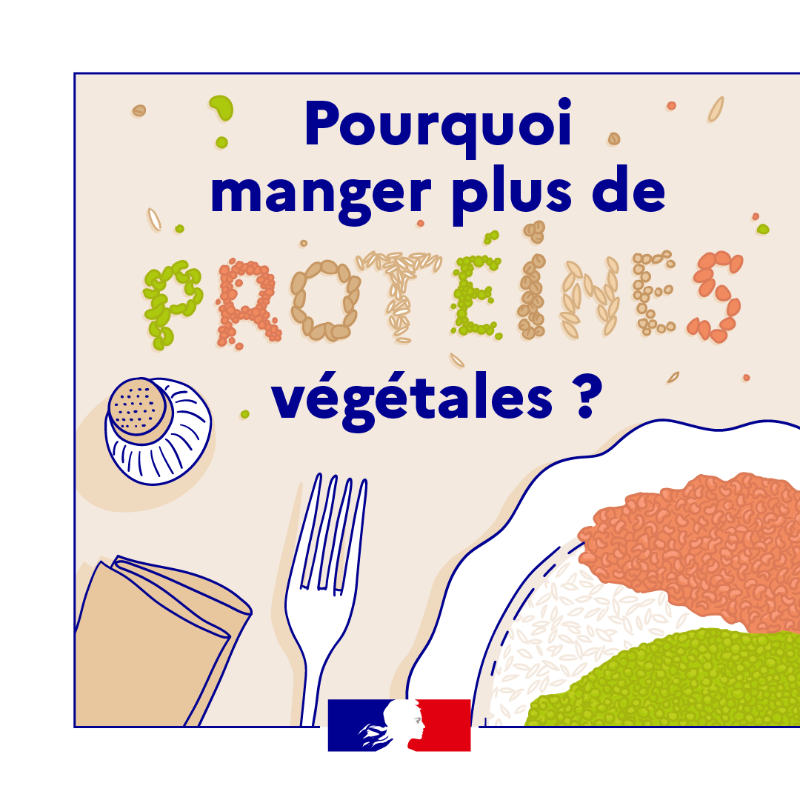 gouvernementFR's tweet photo. #France2030 l Consommer des protéines végétales, c’est bon pour la santé et la planète ✅🌾

Découvrez comment diversifier vos sources de protéines ⤵️