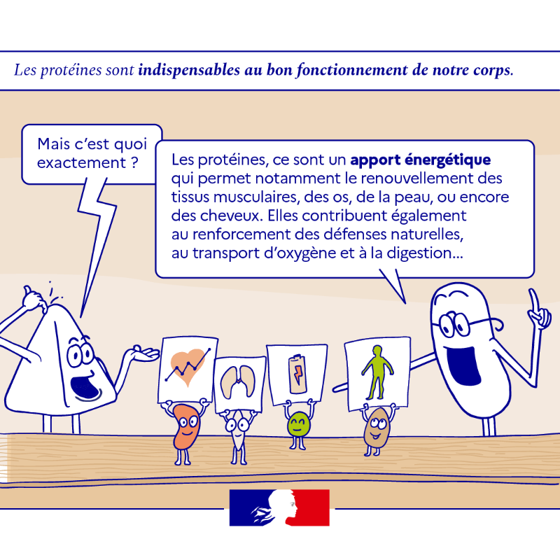 gouvernementFR's tweet photo. #France2030 l Consommer des protéines végétales, c’est bon pour la santé et la planète ✅🌾

Découvrez comment diversifier vos sources de protéines ⤵️