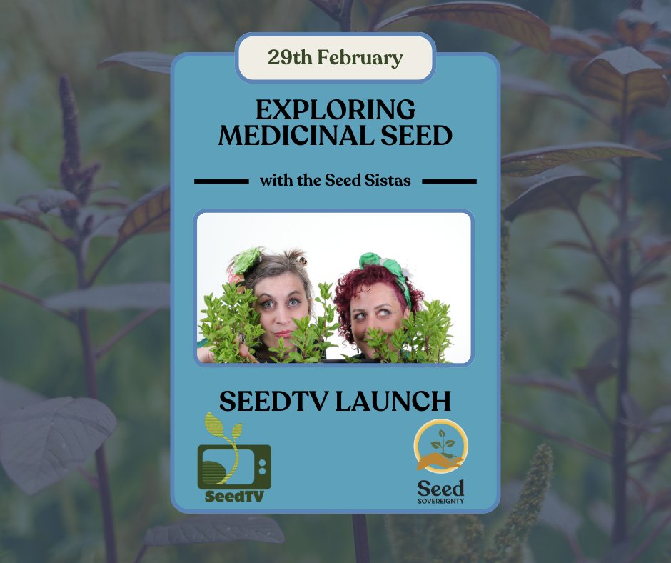 SeedSovereigntyUkIreland (@seedsov) on Twitter photo Last chance to sign up for our wonderful webinar with <a href="/Seed_SistAs/">SensorySolutionsHerbal</a> tomorrow night as our main #SeedWeek event!
Join us for a cosy evening of exploring the medicinal properties of the seeds we work with.
Get your ticket now! buytickets.at/thegaiafoundat… Last chance to sign up for our wonderful webinar with <a href="/Seed_SistAs/">SensorySolutionsHerbal</a> tomorrow night as our main #SeedWeek event!
Join us for a cosy evening of exploring the medicinal properties of the seeds we work with.
Get your ticket now! buytickets.at/thegaiafoundat…