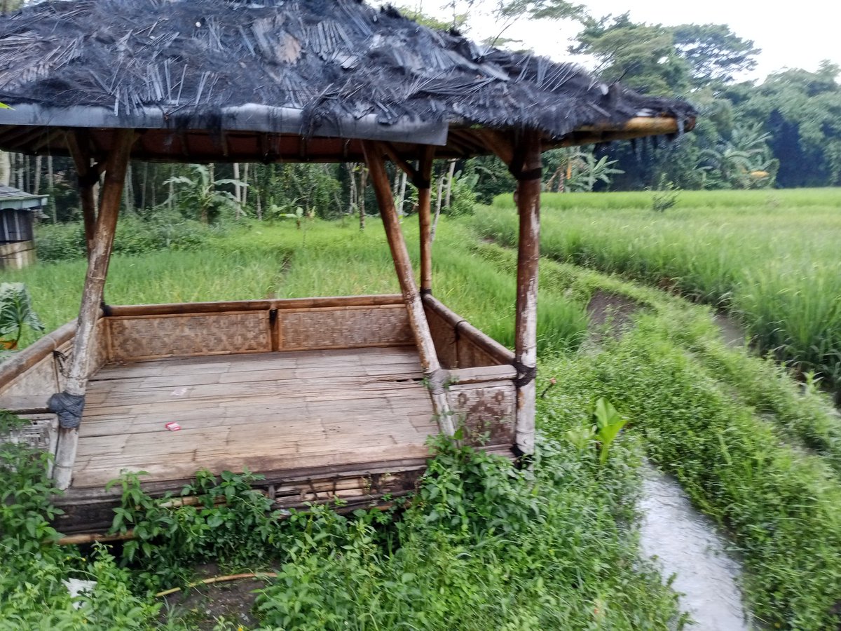 Pelajaran beberapa hari ini :
1. Jika Kita meninggalkan dunia ini, adalah sesuatu di luar jangkauan Kita.
2. Jika dunia meninggalkan Kita, adalah pelajaran berarti dan pilihan untuk tetap bersyukur atau sebaliknya.