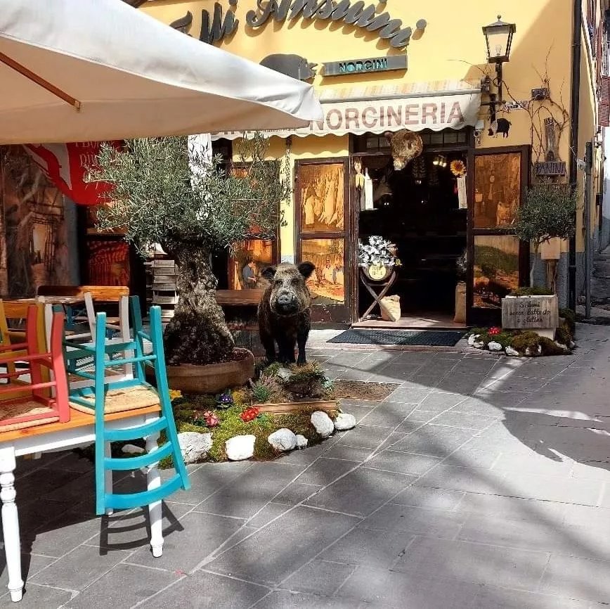 Nero Norcia 2024 - Dal 1 al 3 marzo il secondo weekend della 60ª edizione della mostra mercato del tartufo nero pregiato e dei prodotti tipici tra musica, eventi e degustazioni.. 
Foto By #ValentinoMaleaci #RitaPeccia #AlessioCamerucci

#neronorcia #Norcia #norcianelcuore