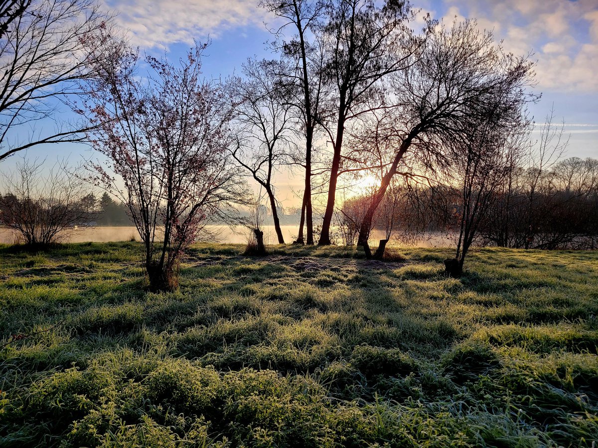 Bonjour 🌞 
Mes photos prises ce matin.
#mohamedmoulayphoto #Tours #CentreValdeLoire
#photography #photographer #photooftheday #nature #NaturalBeauty