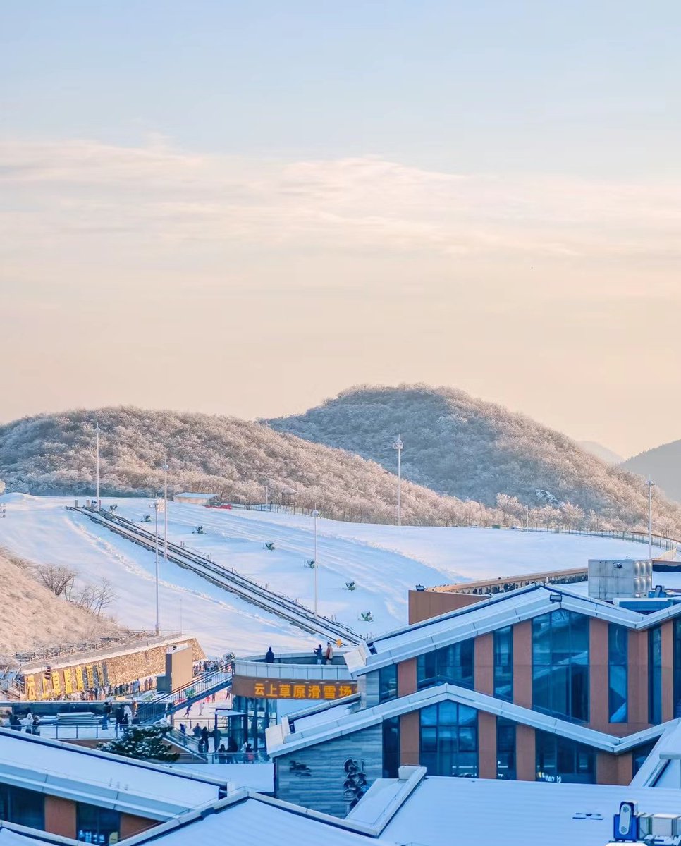 wangdouzhenkea1's tweet photo. 南方的雪 https://t.co/FKk2PAtHPD