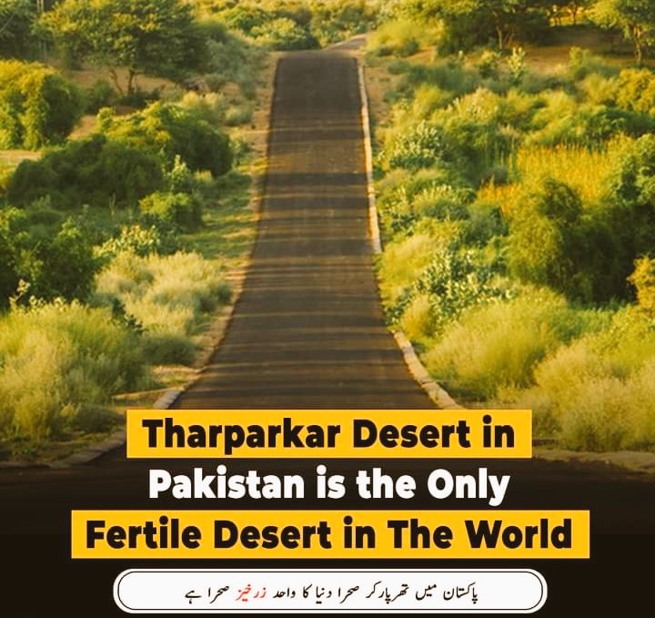 #MAFS #viralvideo #JISOOxDiorAW24 #Beckysangels