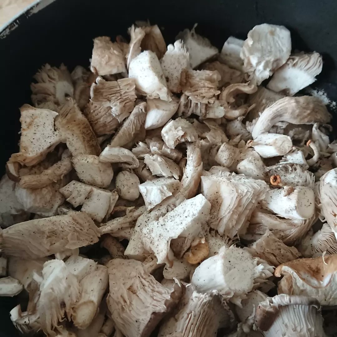 CroydonUrbanMushroom tweet media